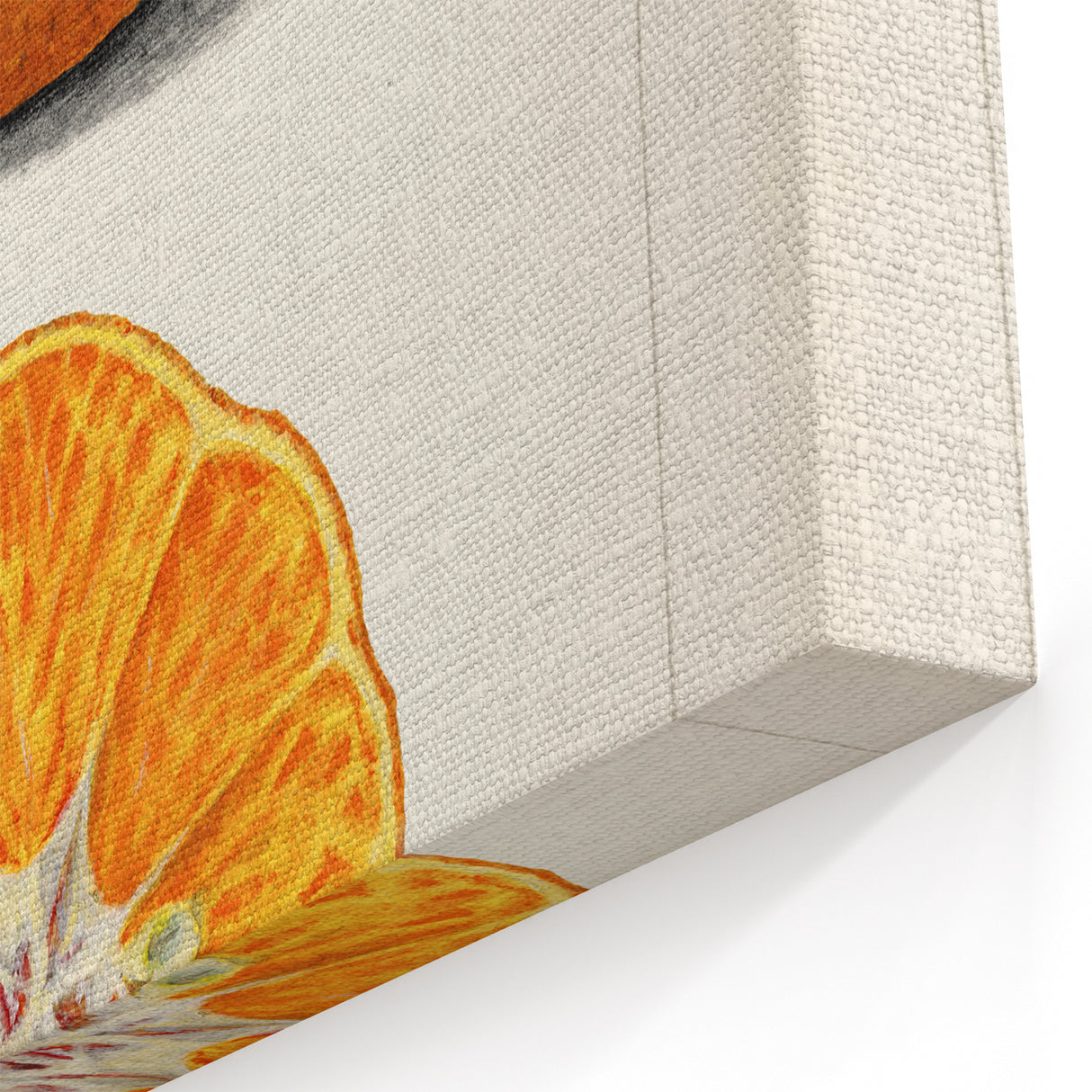 Vintage Satsuma Orange Botanical Print – Fruit Wall Art