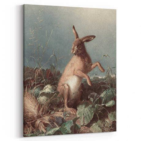 Vintage Animal Art - Hare in the Grass Antique Wildlife Print