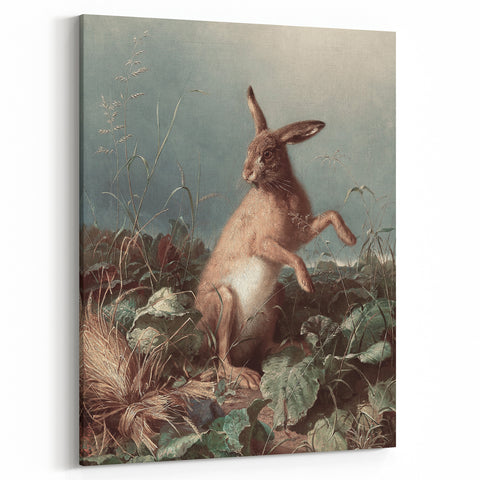 Vintage Animal Art - Hare in the Grass Antique Wildlife Print
