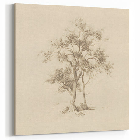 Vintage Botanical Art Print: Antique Tree Illustration for Home Decor