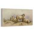 Vintage Animal Art - Sheep in Pastoral Scene Antique Print