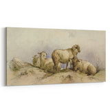 Vintage Animal Art - Sheep in Pastoral Scene Antique Print
