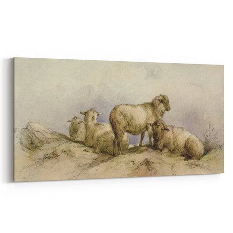 Vintage Animal Art - Sheep in Pastoral Scene Antique Print