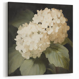 Vintage Botanical Art Print: White Hydrangea Flower Illustration