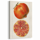 Pomegranate Fruits Wall Art – Fruit Art Prints for Kitchen Decor