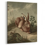 Vintage Animal Art - Rabbit in Nature Antique Wildlife Print