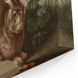 Vintage Animal Art - Rabbit in Nature Antique Wildlife Print