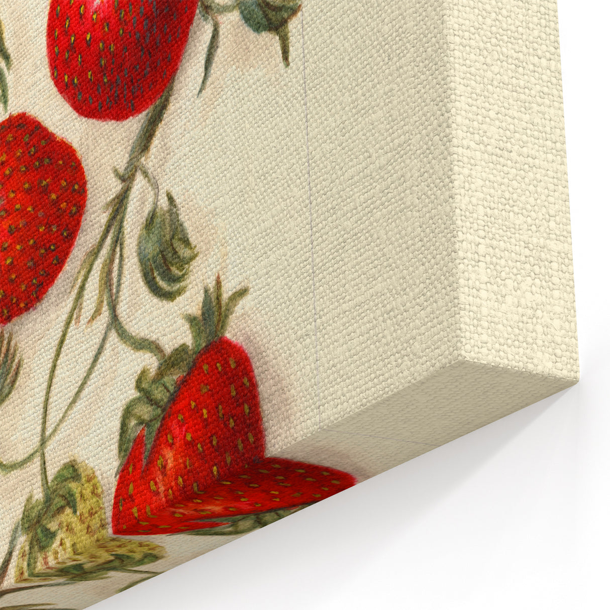 Strawberry Botanical Prints – Vintage Fruit Canvas Art for Kitchen