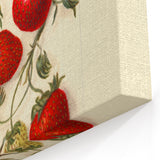 Strawberry Botanical Prints – Vintage Fruit Canvas Art for Kitchen