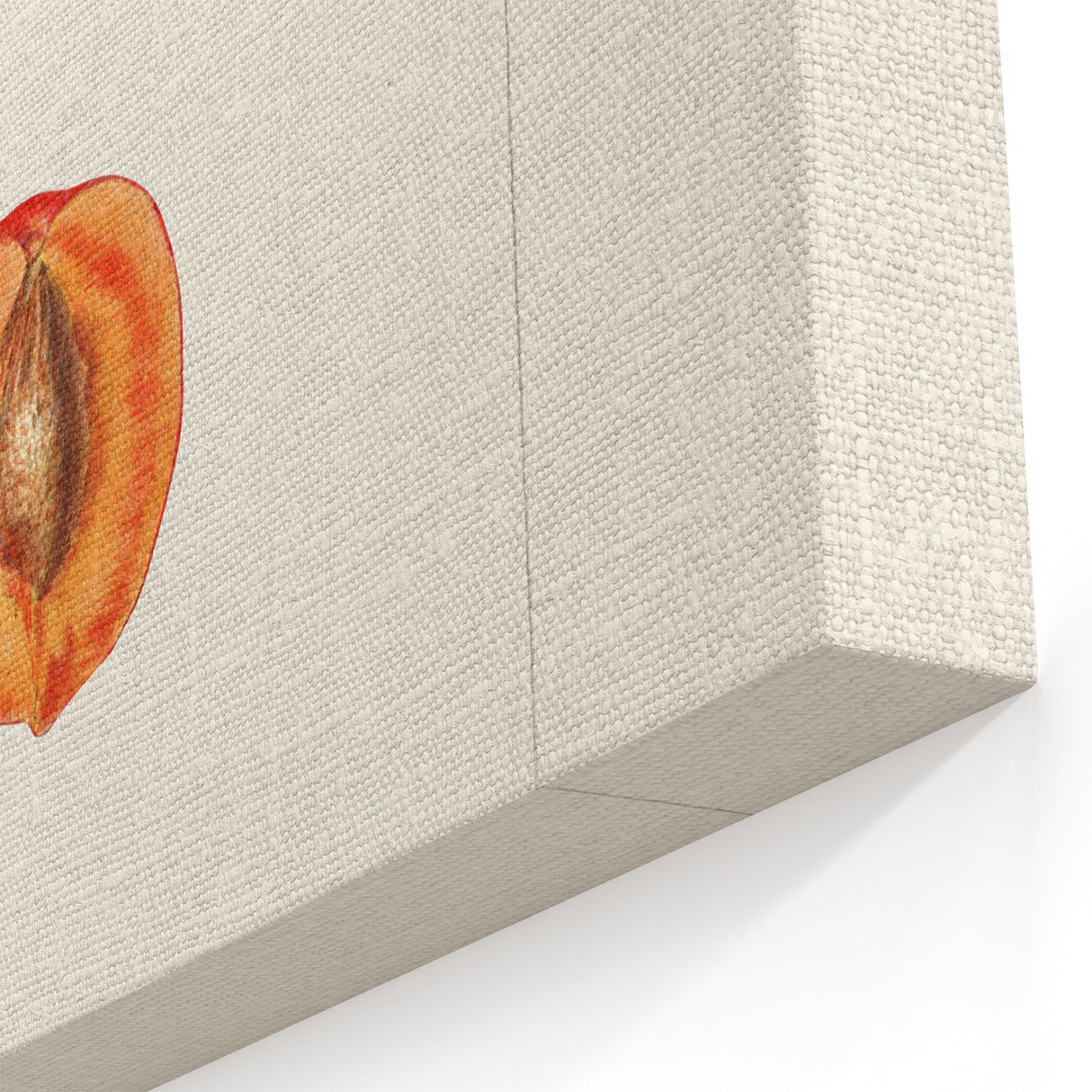 Plum Botanical Prints – Vintage Fruit Canvas Art for Kitchen