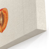 Plum Botanical Prints – Vintage Fruit Canvas Art for Kitchen