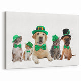 St. Patrick’s Day Pets - Festive Leprechaun Wall Art
