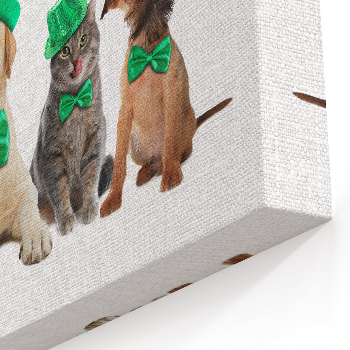 St. Patrick’s Day Pets - Festive Leprechaun Wall Art