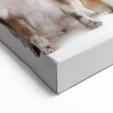 St. Patrick’s Day Pets - Festive Leprechaun Wall Art