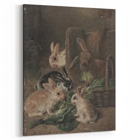 Vintage Animal Art - Rabbits Eating Cabbage Antique Wildlife Print