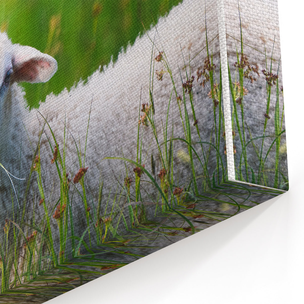 Tranquil Spring Wall Art - Botanical Lamb Print Spring Canvas Art