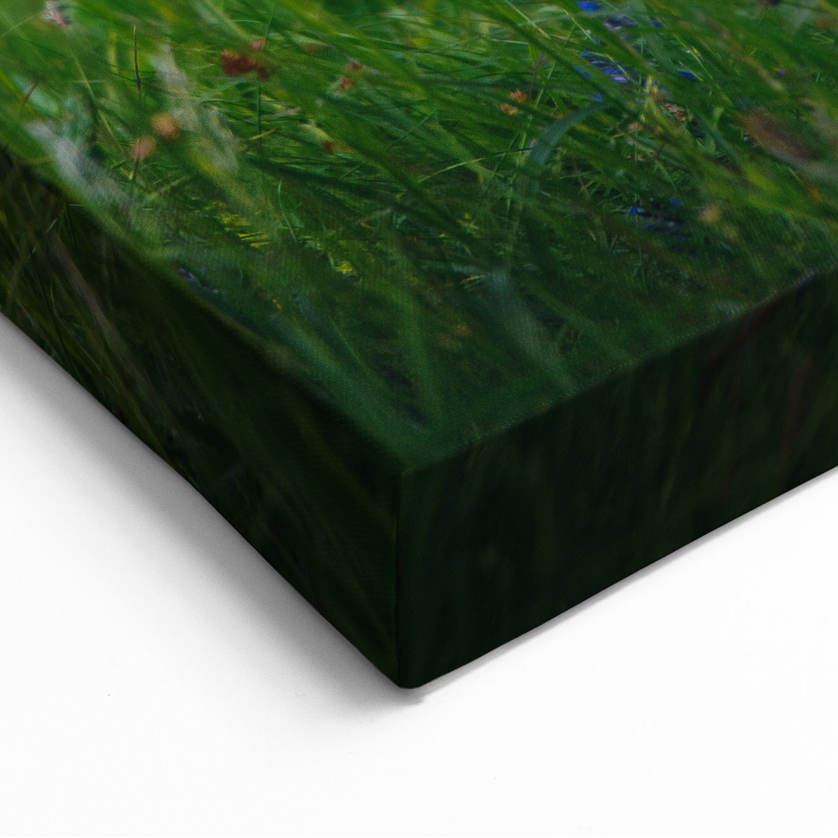 Tranquil Spring Wall Art - Botanical Lamb Print Spring Canvas Art