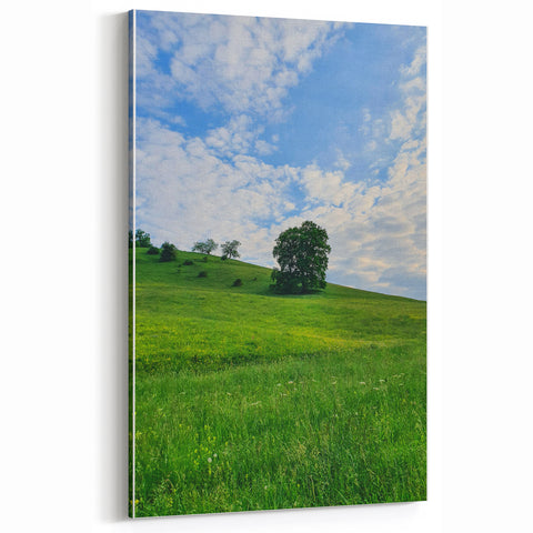 Serene Spring Wall Art - Tranquil Landscape Spring Canvas Art
