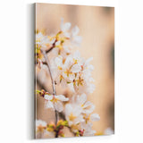 Cherry Blossom Spring Wall Art - Elegant Floral Spring Canvas