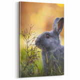 Adorable Spring Wall Art - Gray Rabbit Nature Spring Canvas
