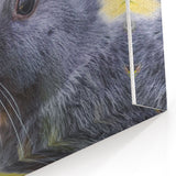 Adorable Spring Wall Art - Gray Rabbit Nature Spring Canvas