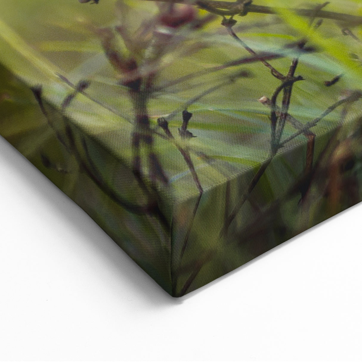 Adorable Spring Wall Art - Gray Rabbit Nature Spring Canvas