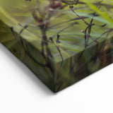 Adorable Spring Wall Art - Gray Rabbit Nature Spring Canvas