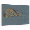 Vintage Animal Art - Resting Lion Antique Wildlife Sketch