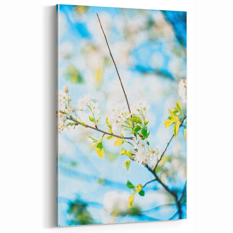Blossoming Spring Wall Art - Floral Blue Sky Spring Canvas Print