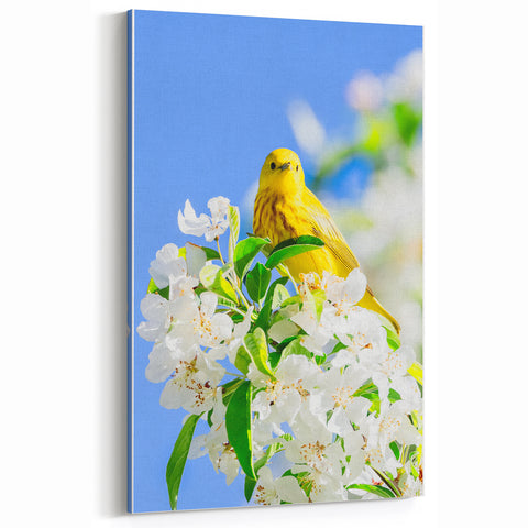 Spring Bird Wall Art - Yellow Warbler Floral Spring Canvas Print