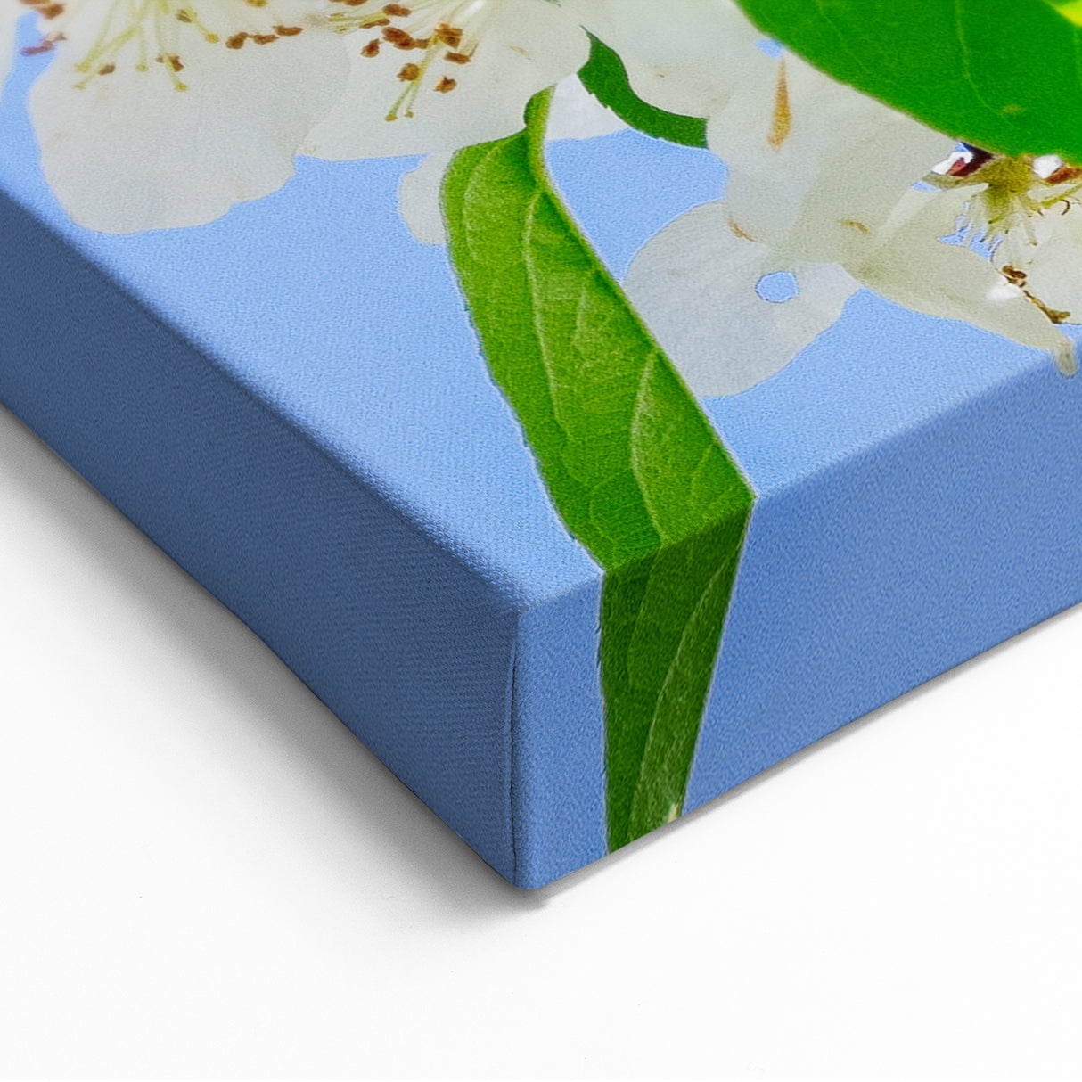 Spring Bird Wall Art - Yellow Warbler Floral Spring Canvas Print