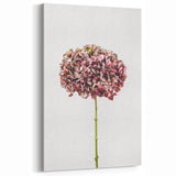Minimalist Spring Wall Art - Dried Hydrangea Floral Canvas Print