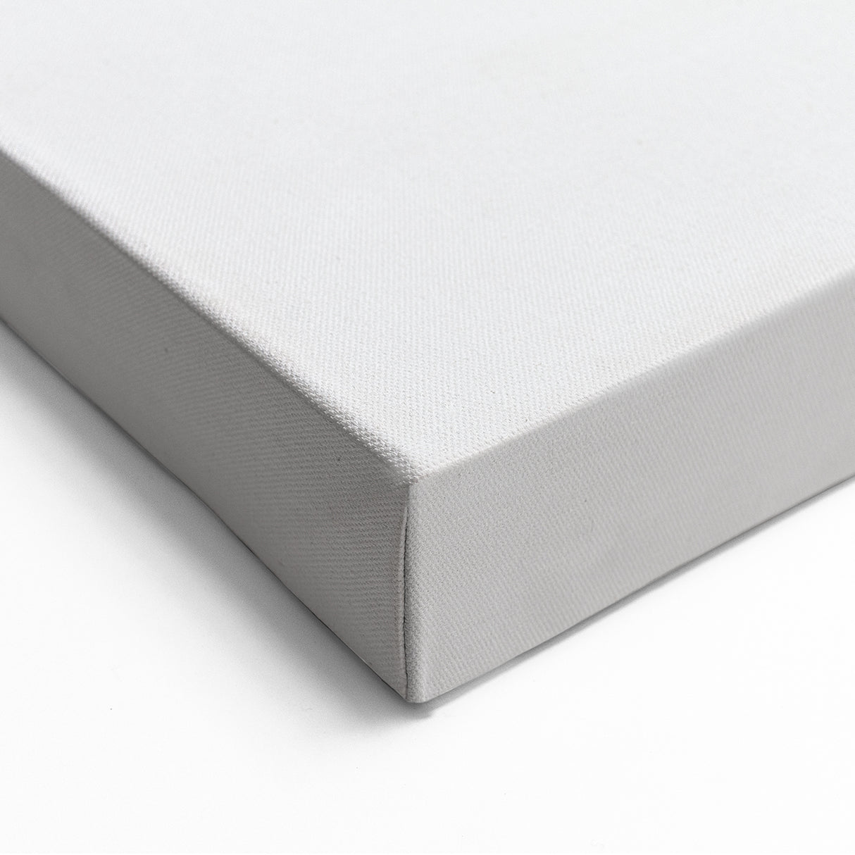 Minimalist Spring Wall Art - Dried Hydrangea Floral Canvas Print