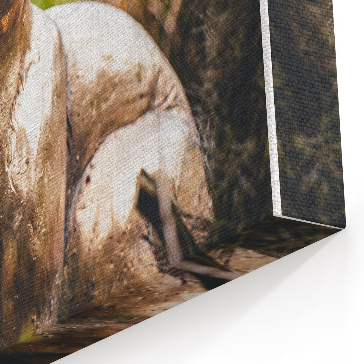 Golden Rabbit Spring Wall Art - Elegant Nature Canvas Print