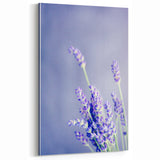 Lavender Spring Wall Art - Soft Floral Botanical Canvas Print
