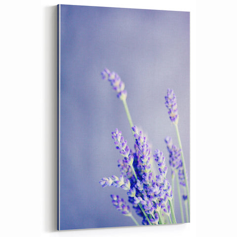 Lavender Spring Wall Art - Soft Floral Botanical Canvas Print