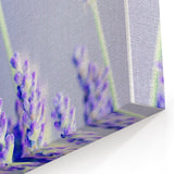 Lavender Spring Wall Art - Soft Floral Botanical Canvas Print