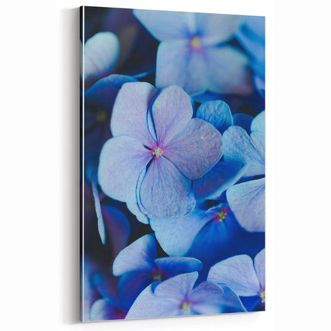 Blue Hydrangea Spring Wall Art - Floral Nature Canvas Print