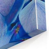 Blue Hydrangea Spring Wall Art - Floral Nature Canvas Print