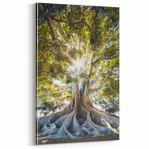 Majestic Tree Spring Wall Art - Nature Landscape Canvas Print