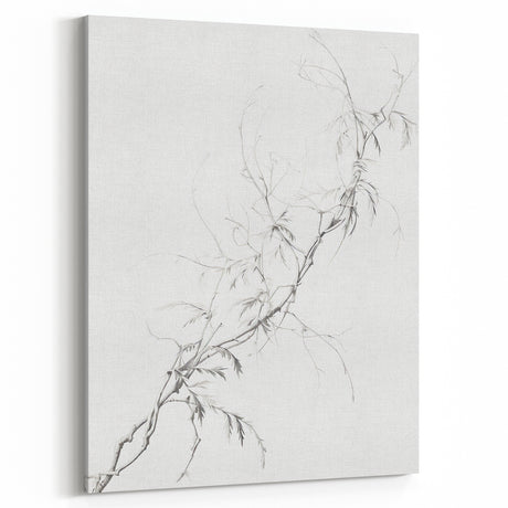 Vintage Botanical Art Prints – Bamboo Pencil Drawing for Elegant Decor