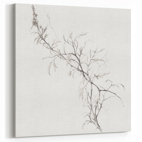 Vintage Botanical Art Prints – Elegant Branch Pencil Drawing