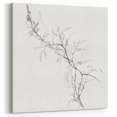 Vintage Botanical Art Prints – Elegant Branch Pencil Drawing