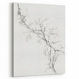 Vintage Botanical Art Prints – Delicate Branch Pencil Drawing