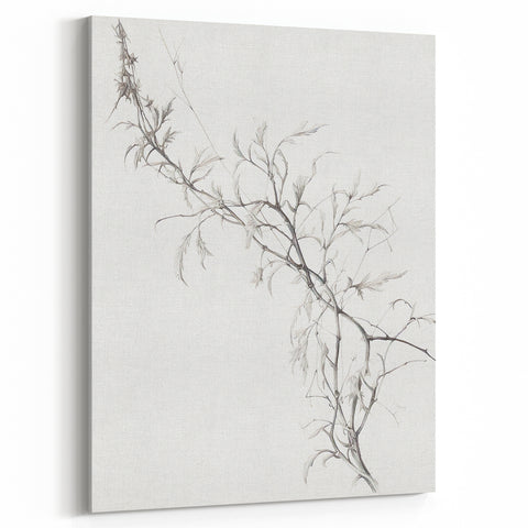Vintage Botanical Art Prints – Delicate Branch Pencil Drawing