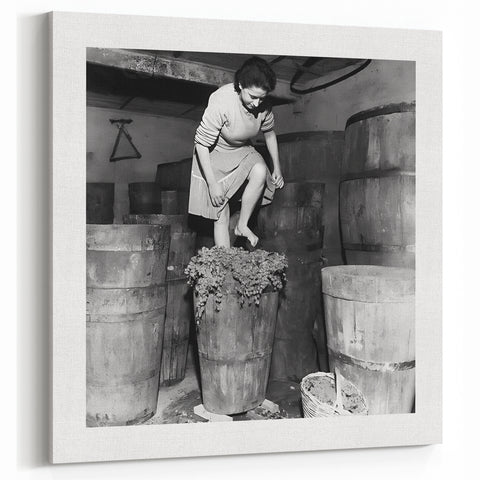 Traditional Winemaking – Culinary Portrait Wall Art