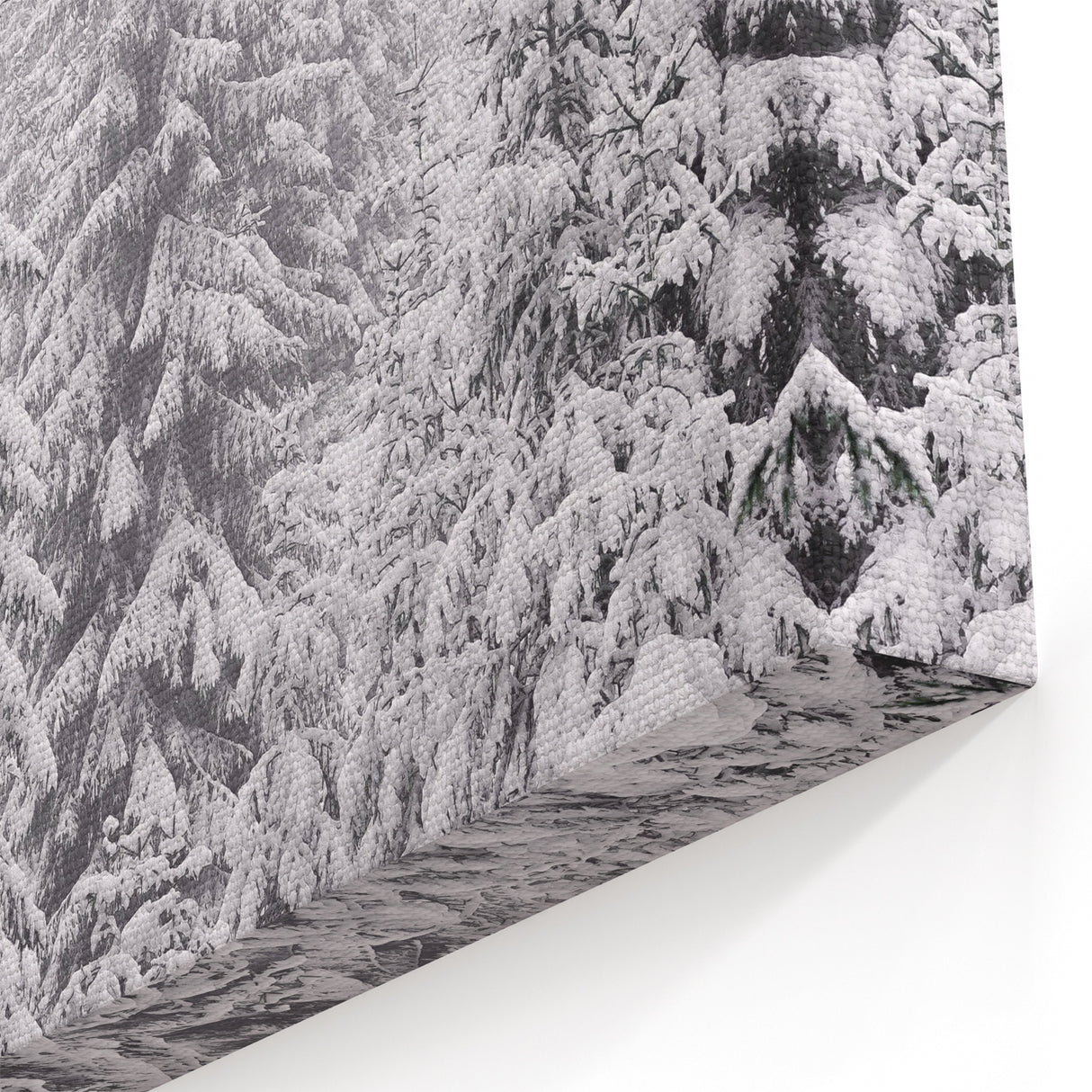 Snowy Evergreen Forest - Winter Wonderland Wall Art Winter Print