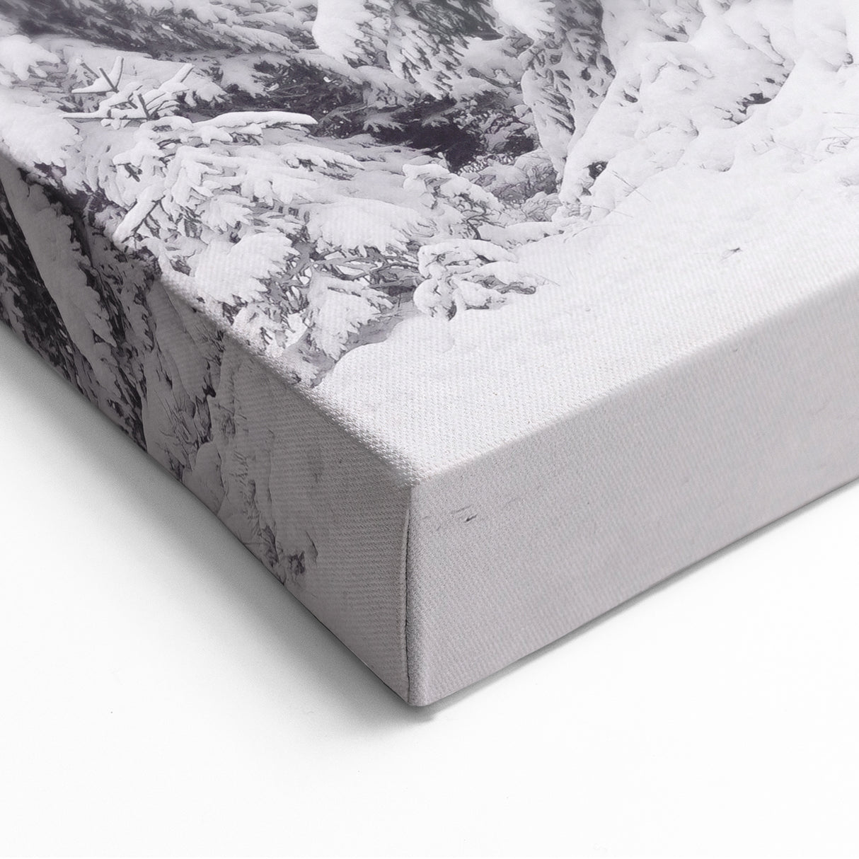 Snowy Evergreen Forest - Winter Wonderland Wall Art Winter Print