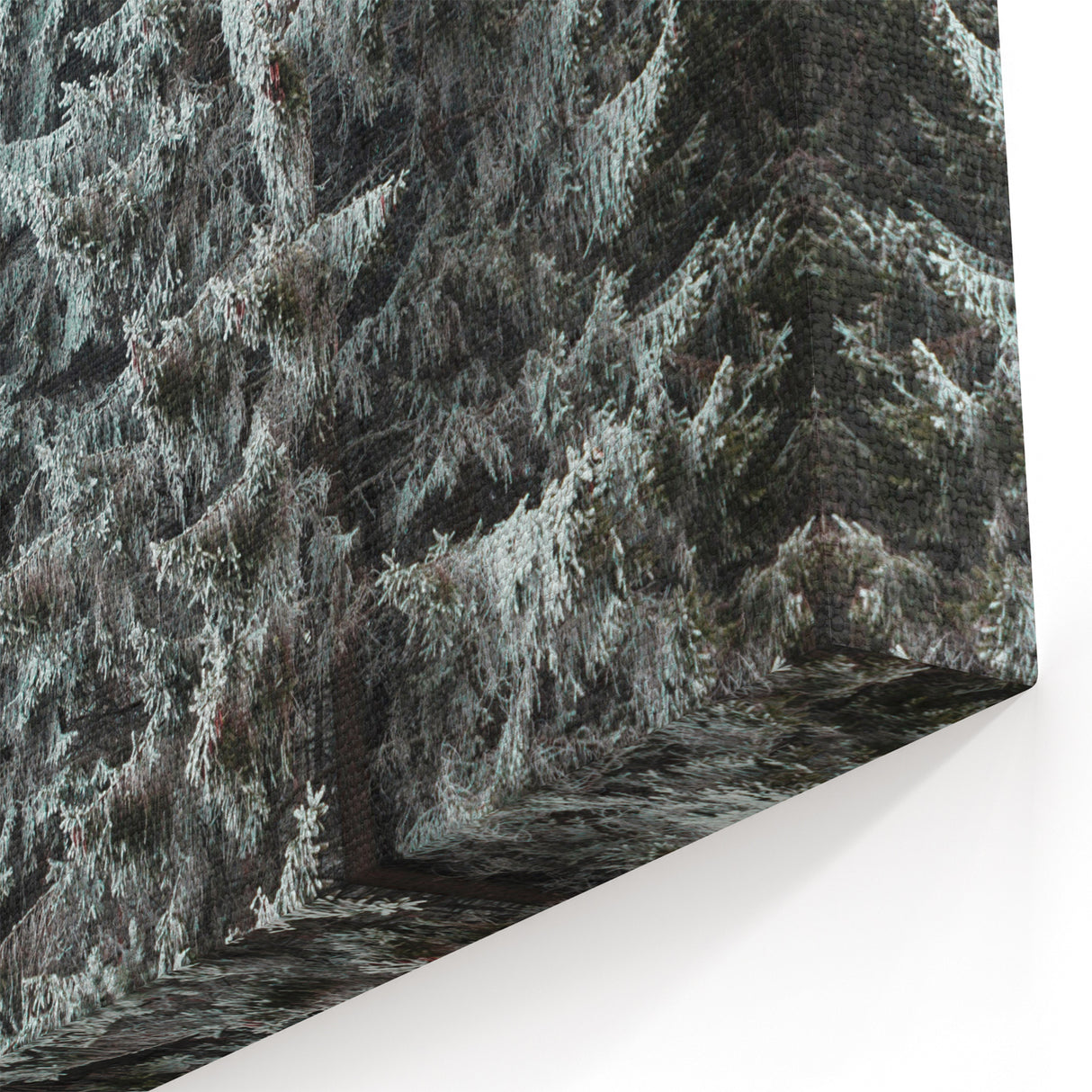 Snowy Pine Forest - Winter Scene Wall Art Winter Canvas Print