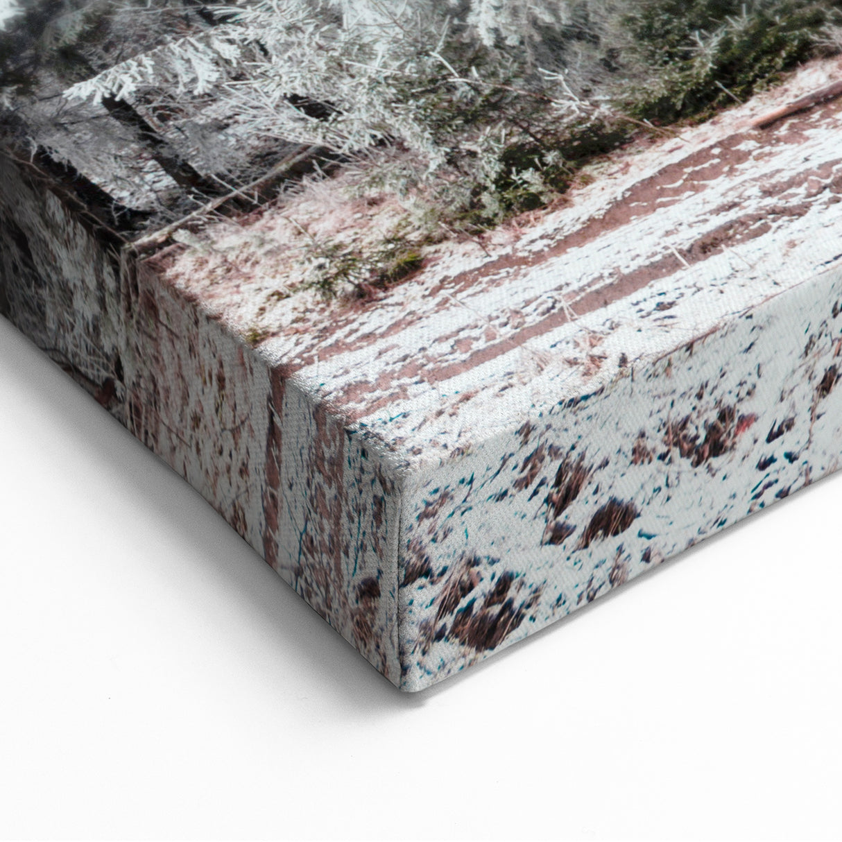 Snowy Pine Forest - Winter Scene Wall Art Winter Canvas Print